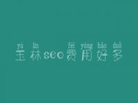 玉林seo费用好多_服务咋样