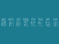 赣州排名优化培训_专业优化公司