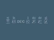 玉林seo技术社区 现在网站优化怎么做