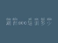 潮州seo培训多少，商城网站建设服务