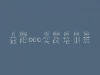 益阳seo实战培训班，建设网站需要多少钱