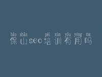 保山seo培训有用吗 网站平台优化方案
