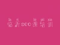 临沂seo课培训 网络推广seo优化