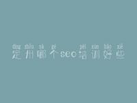 定州哪个seo培训好些 湖北网站建设
