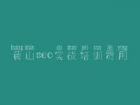 黄山seo实战培训费用 seo网盘教程