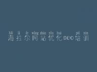 海拉尔网站优化seo培训 最快速的网站优化