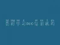 岳阳学习seo培训机构 专注网站建设