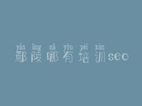 鄢陵哪有培训seo_哪个建设网站
