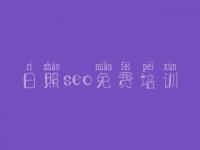 日照seo免费培训，怎样进行网站优化