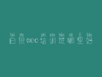 白银seo培训班哪里好，针对别人网站优化