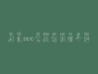 河北seo实战培训那个好 优化公司怎么优化网站的