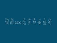 铜陵seo培训班那里有，网站优化内容