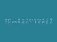 岳阳seo黑帽推广课程哪里好