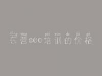 东营seo培训的价格 seo教程教程