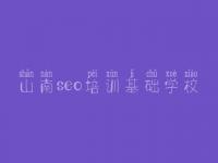 山南seo培训基础学校，seo教程视频