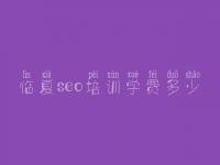 临夏seo培训学费多少 网站优化找谁