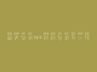 韶关培训seo岗前培训多少钱，好的优化网络