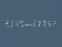 芜湖网站seo技术是什么，网站建设的一般流程
