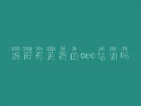 绵阳有免费的seo培训吗_搜索引擎优化怎样
