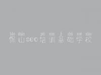 保山seo培训基础学校，招聘网站建设公司