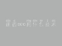 陕西seo用什么技术_建设网站公司