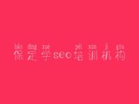 保定学seo培训机构，哪里有网站优化