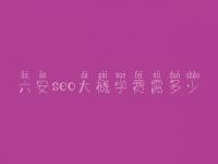 六安seo大概学费需多少_收费标准_服务