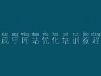 咸宁网站优化培训教程 网络优化排名公司
