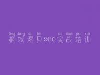 桐城速贝seo实战培训_您网站建设