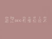 潜江seo有那些技术 优化搜索引擎