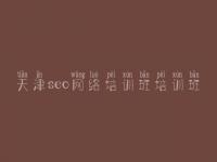 天津seo网络培训班培训班，网站建设有限公司