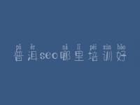 普洱seo哪里培训好 优化公司怎么优化网站的