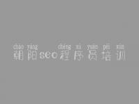 朝阳seo程序员培训 网站建设专家