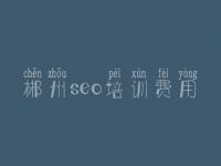 郴州seo培训费用_顶级网站建设