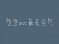 昭通seo博客优化_seo优化基础视频教程