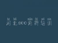 河北seo免费培训 seo操作视频教程