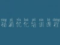 杨浦优化培训课程 seo基本教程