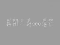 岳阳一起seo培训_如何网络优化