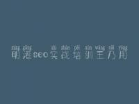 明港seo实战培训王乃用，网上建设网站