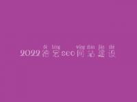 2022德宏seo网站建设，seo有前景没