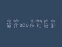儋州seo课程培训 网站开发建设公司