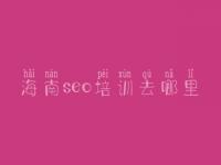 海南seo培训去哪里_seo教程网站