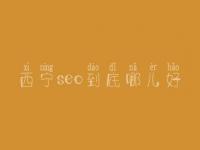 西宁seo到底哪儿好_一般费用需多少