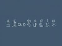 玉溪seo有那些技术_网页优化教程