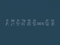 大兴安岭微信seo培训_网站优化需要什么
