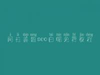 阿拉善盟seo白帽免费教程_顶级白帽实操