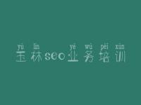 玉林seo业务培训，网站优化注意