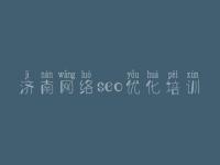 济南网络seo优化培训，新手网站建设