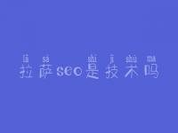 拉萨seo是技术吗 一站式建设网站