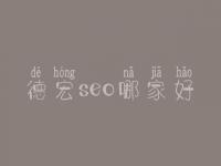 德宏seo哪家好_一般价格得好多